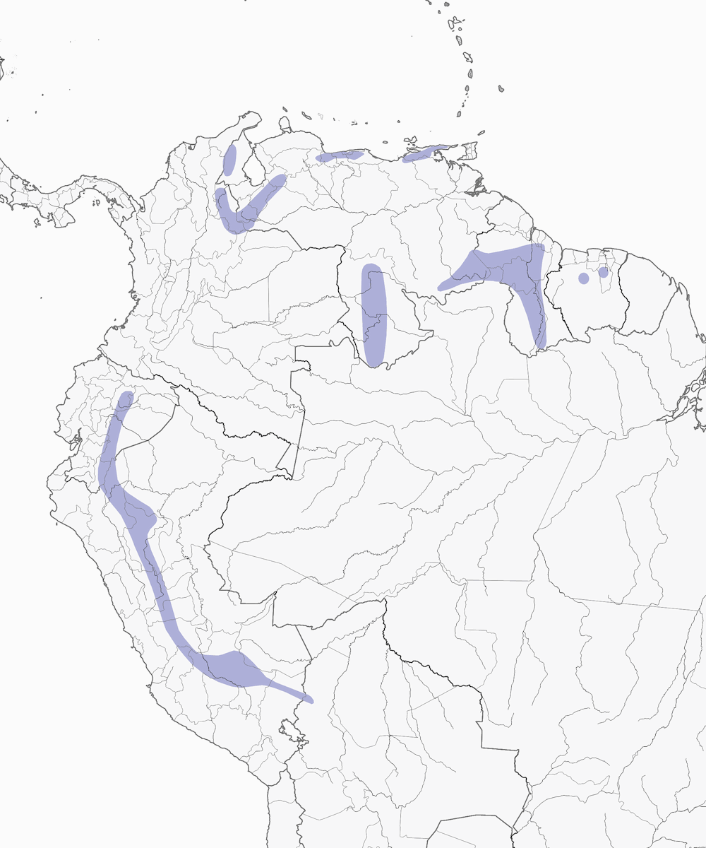 Autillo de las Estribaciones, Distribución 1