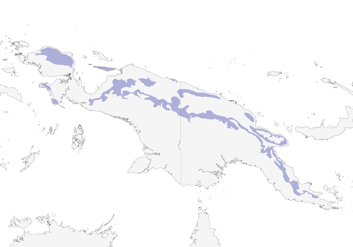 Méliphage forestier, Distribution 1