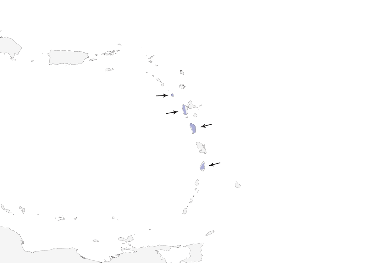 Grive des forêts, Distribution 1