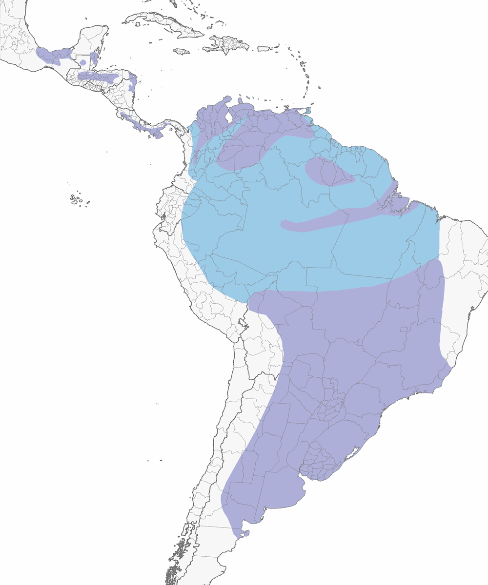 Tijereta Sabanera, Distribución 1