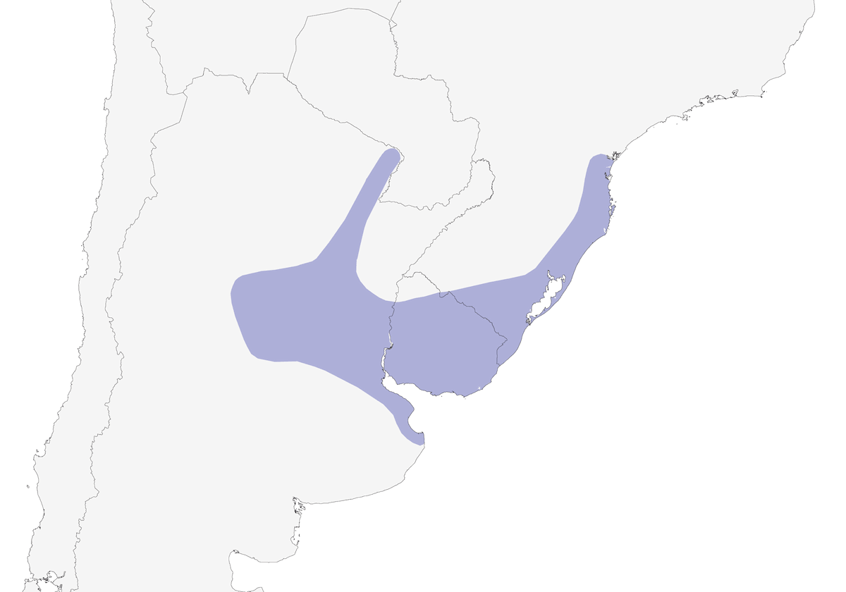 Spina dal petto maculato, Distribuzione 1
