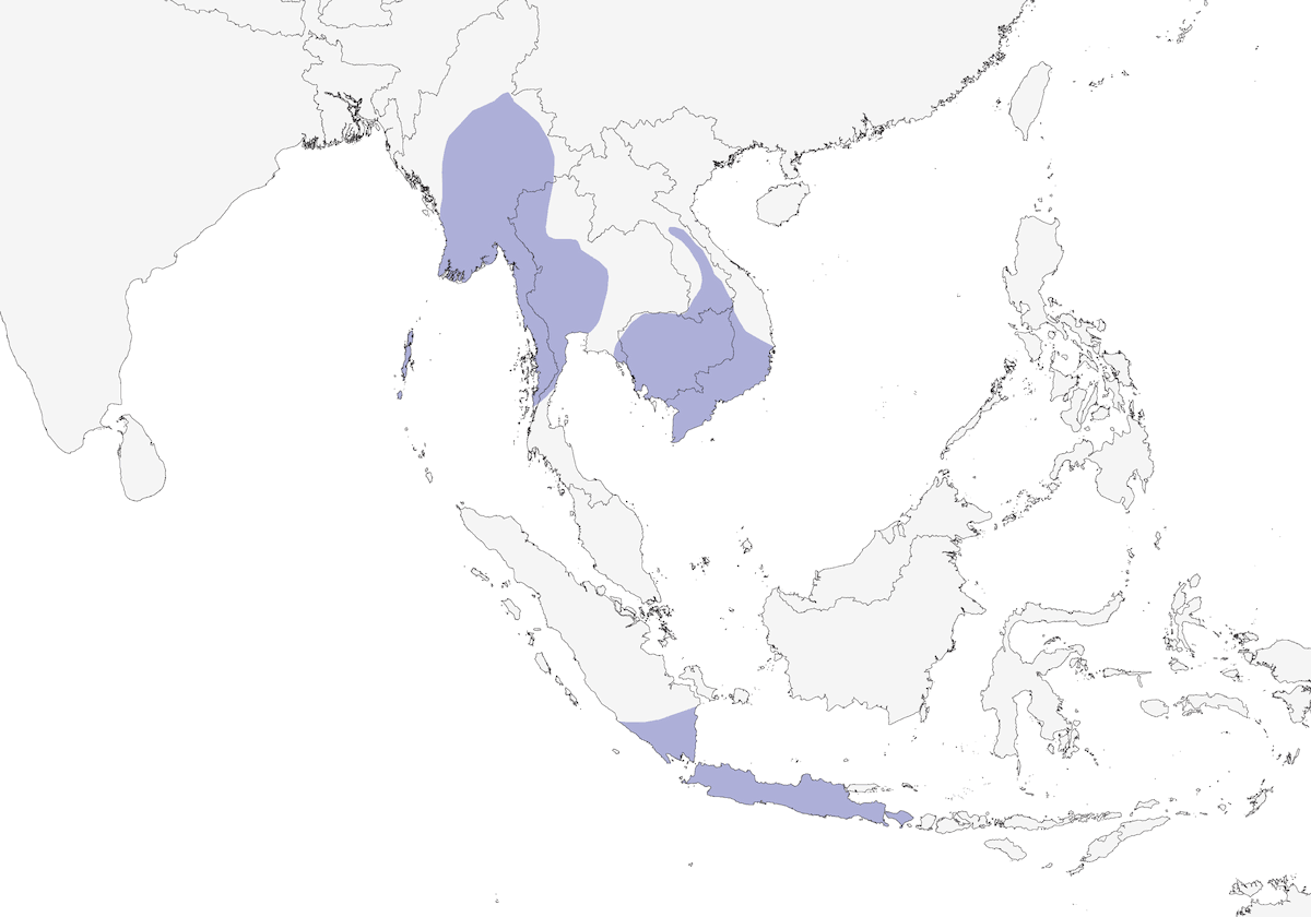 Freckle-breasted Woodpecker, Distribution 1
