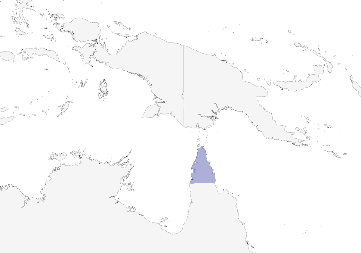 Monarca dal collare, Distribuzione 1