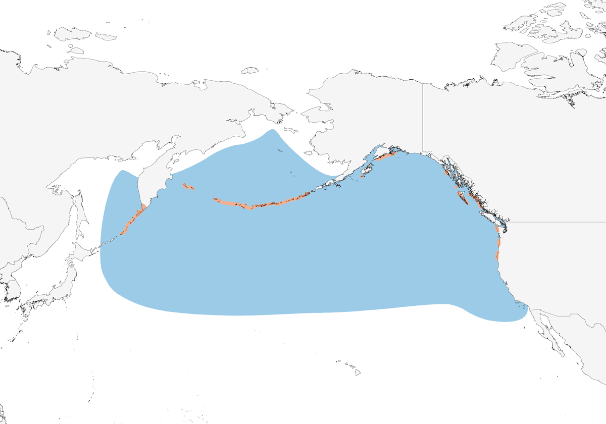 Fork-tailed Storm-Petrel, Distribution 1