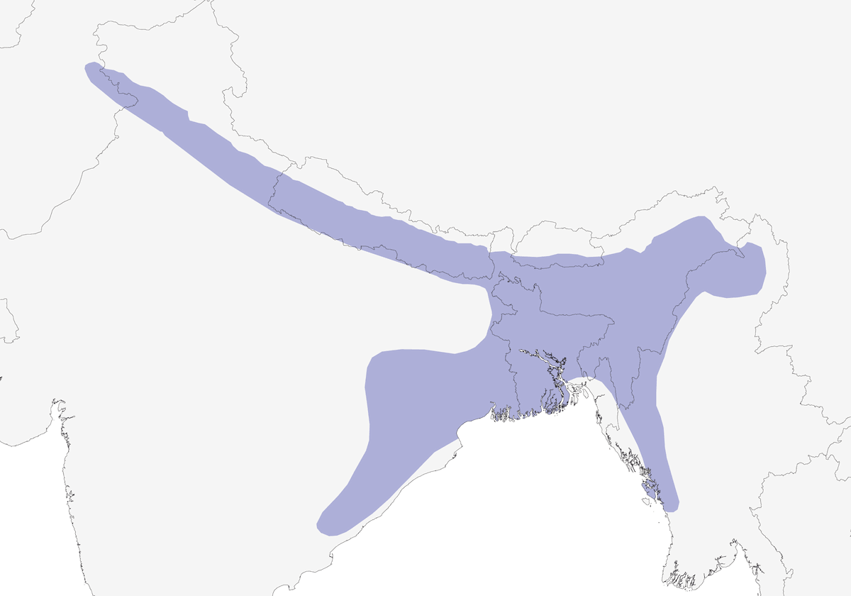 Carpintero de Pecho Leonado, Distribución 1