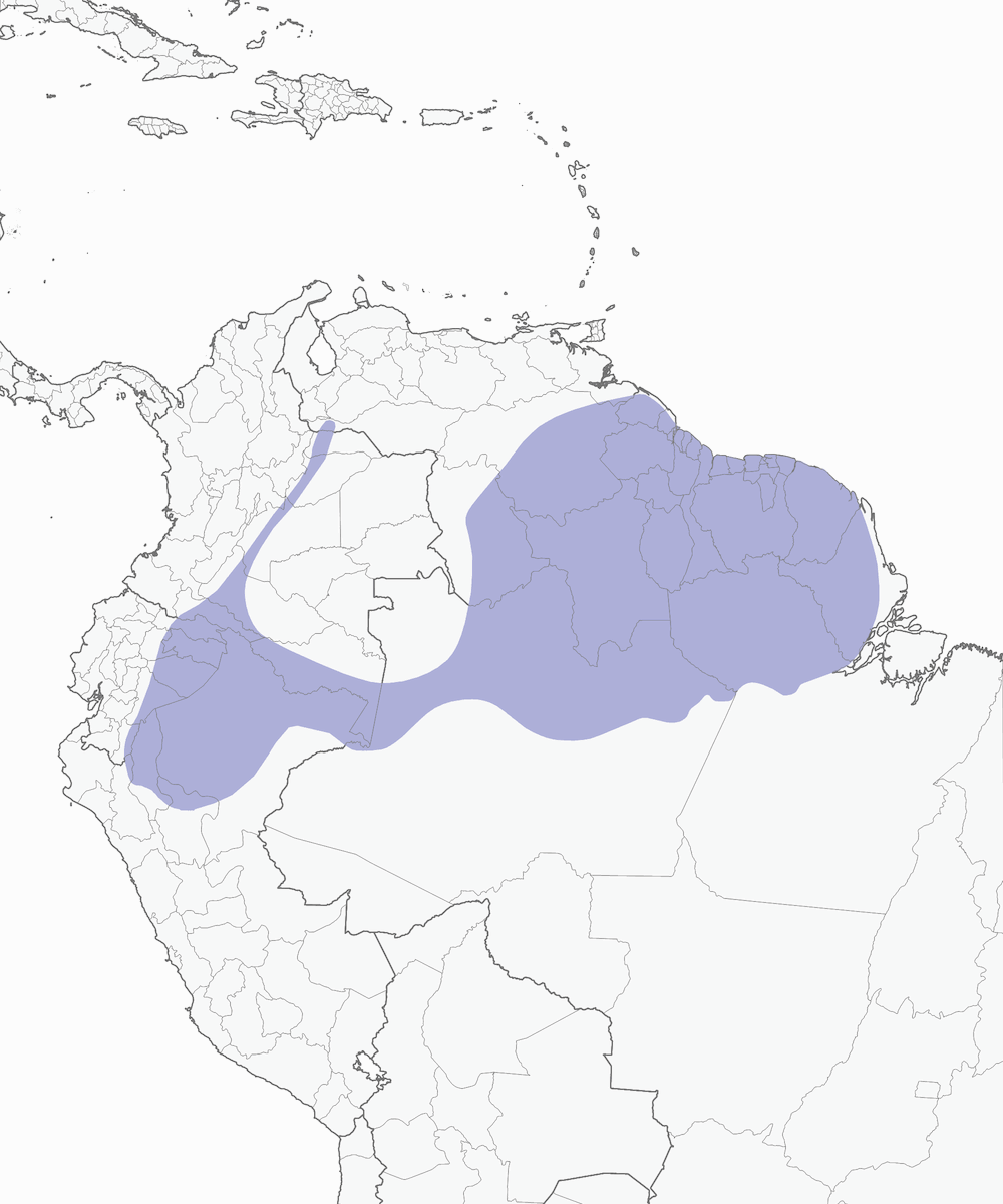 Tangara-lanio fuligineux, Distribution 1