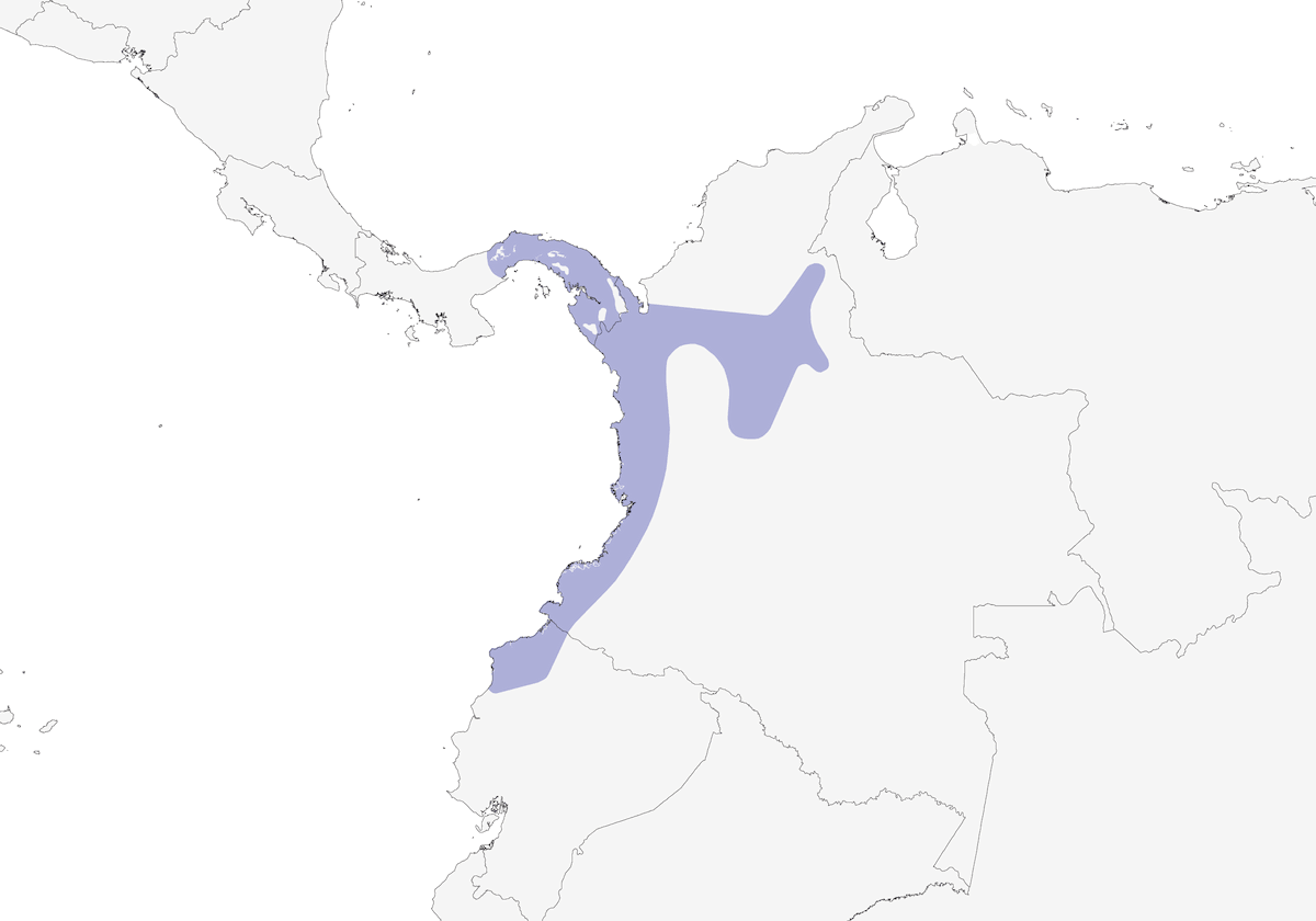 Eufonia ventretanè, Distribuzione 1