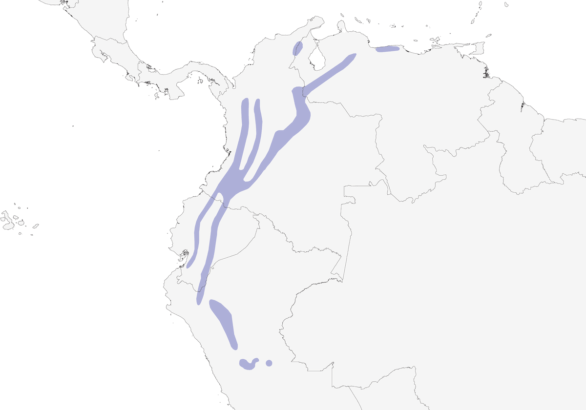 Frutero Verde y Negro, Distribución 1