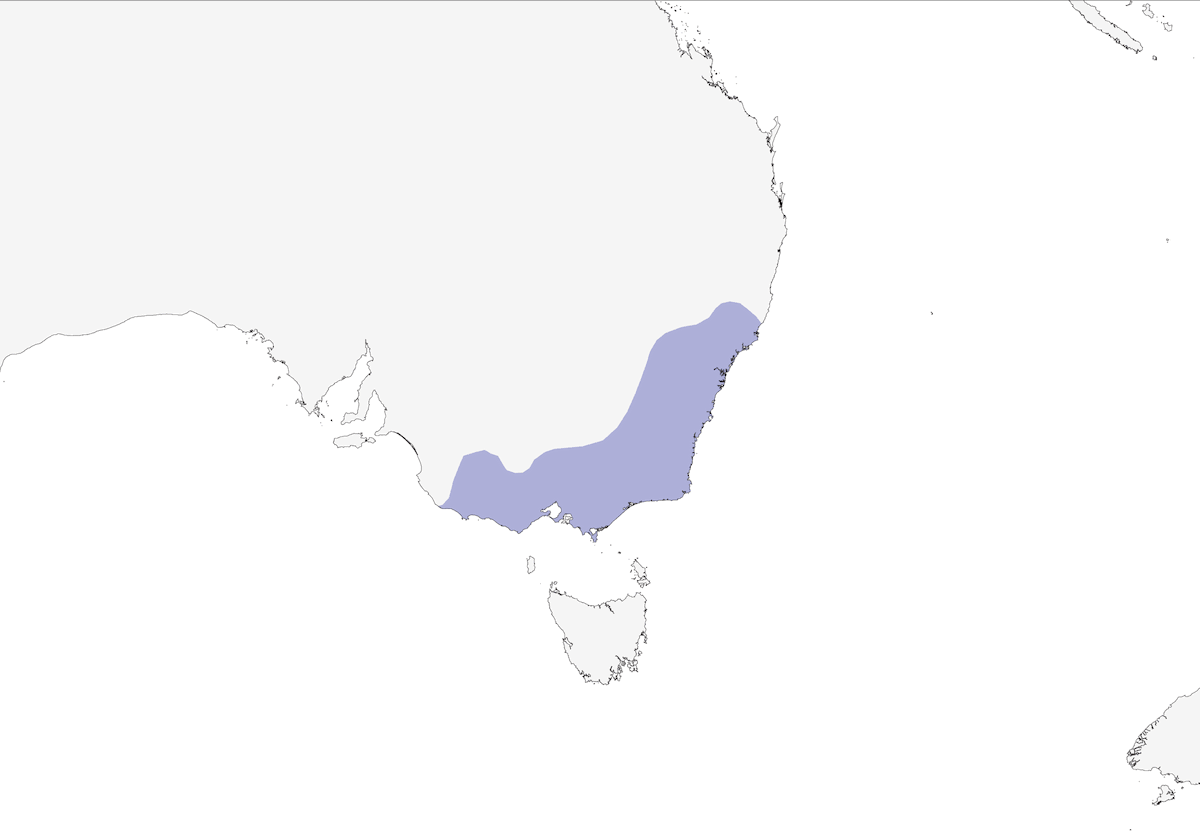 Gang-gang Cockatoo, 分布 1