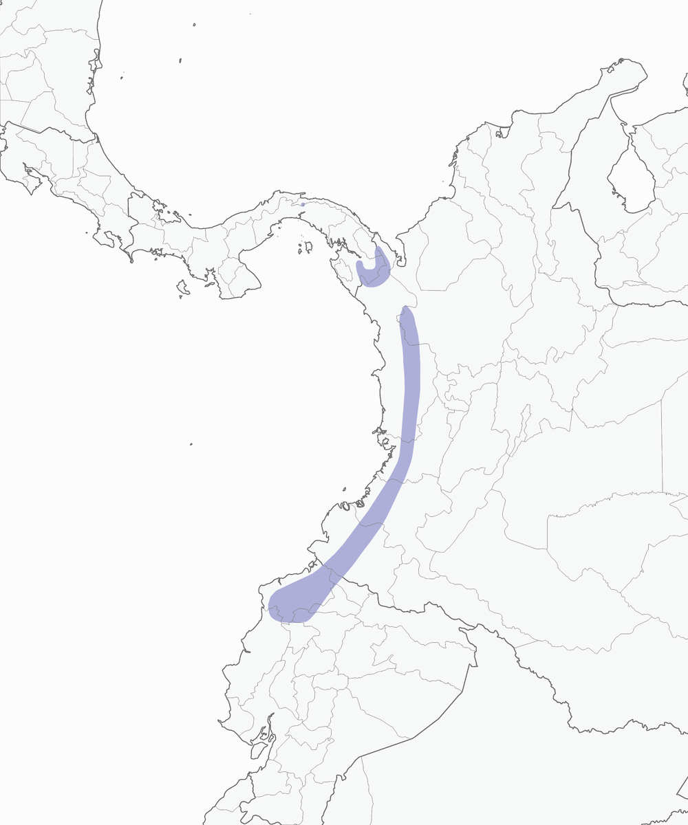 Gray-and-gold Tanager, Distribution 1