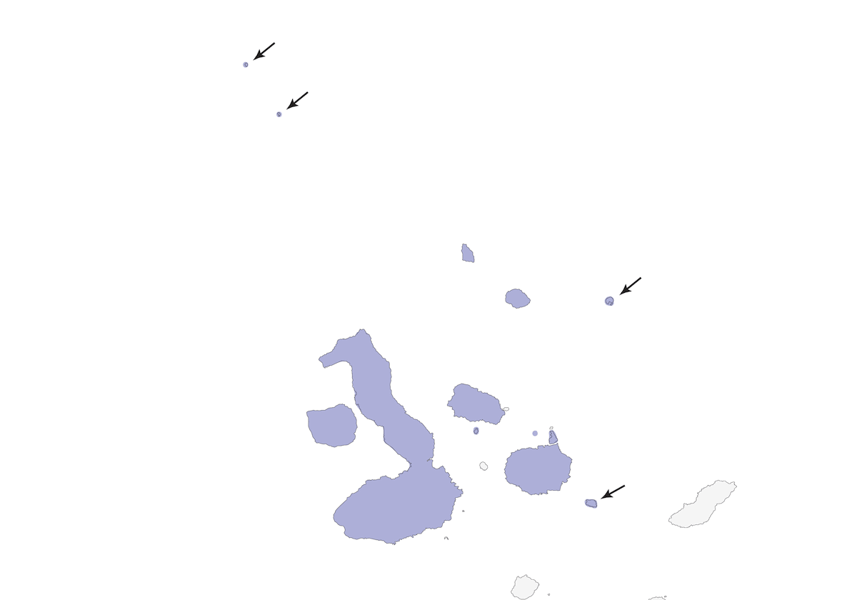 Sinsonte de Galápagos, Distribución 1