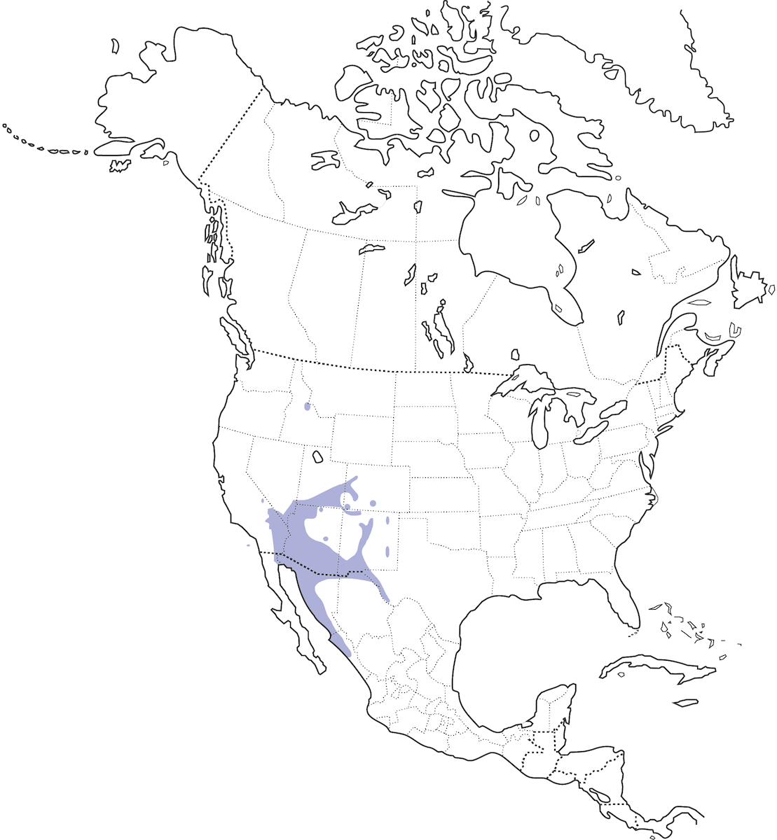 Codorniz de Gambel, Distribución 1