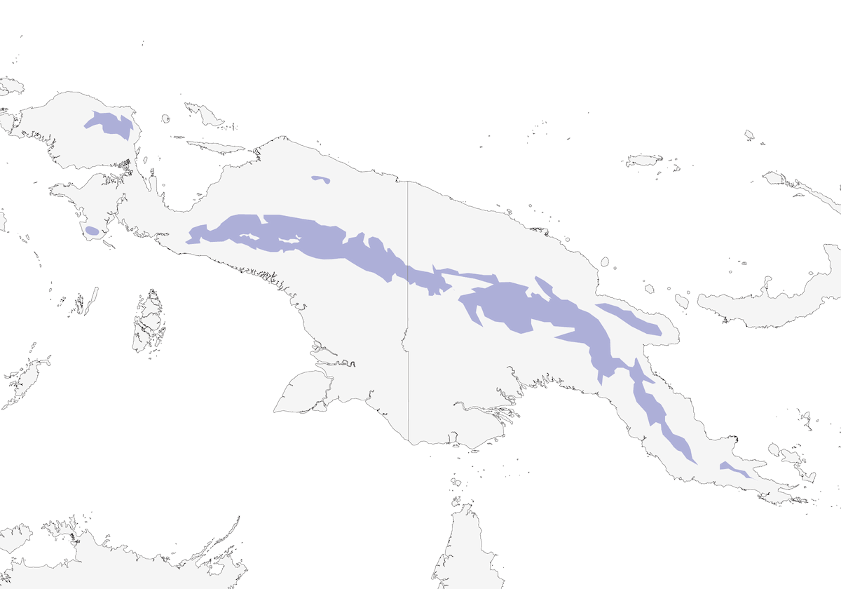 Garnet Robin, Distribution 1