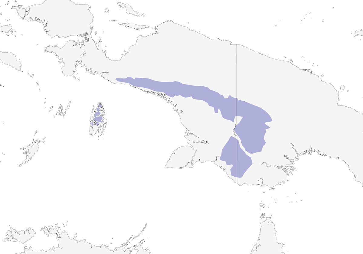 Greater Bird-of-Paradise, Distribution 1