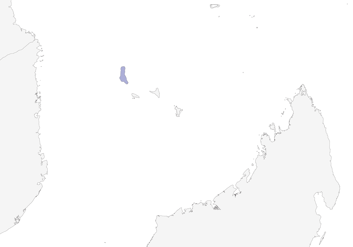 Nésille de Grande Comore, Distribution 1