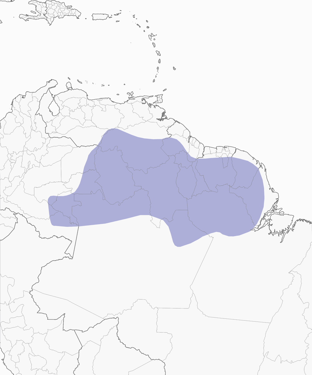 Guianan Cock-of-the-rock, Distribution 1