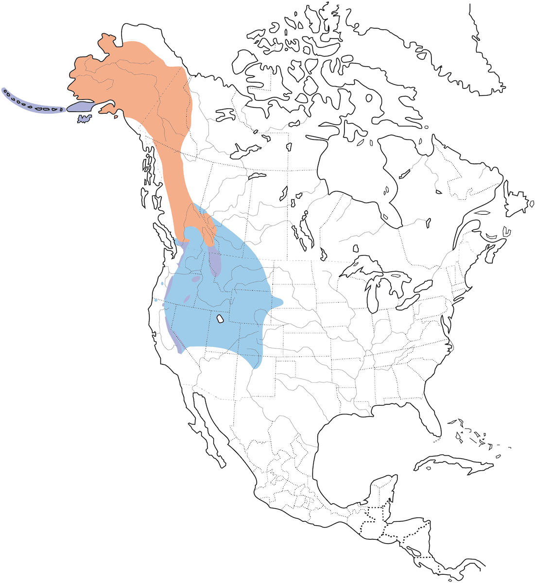Gray-crowned Rosy-Finch, Distribution 1