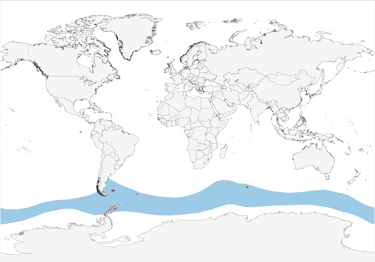 Pinguino Papua, Distribuzione 1