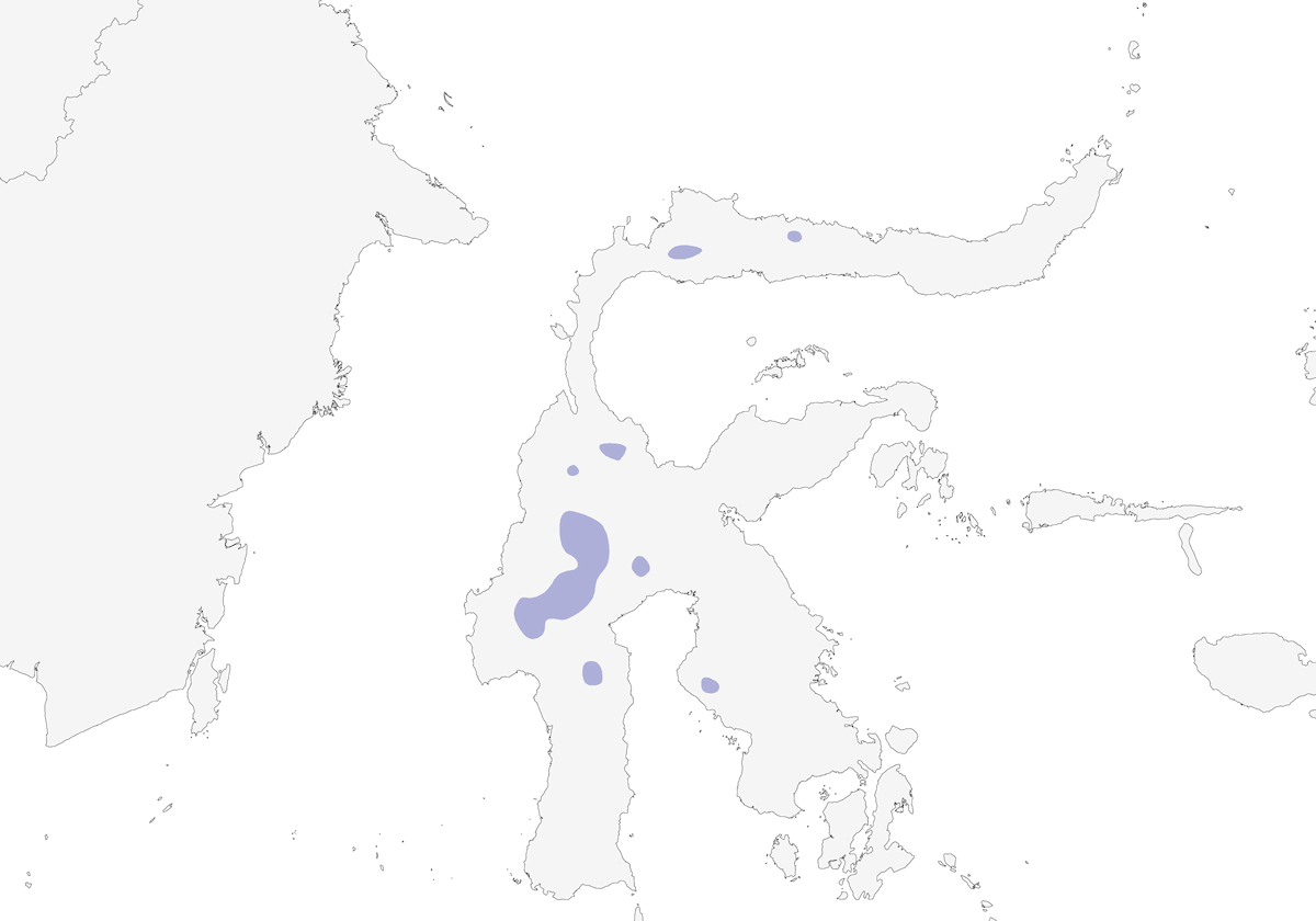 Géomalie de Heinrich, Distribution 1