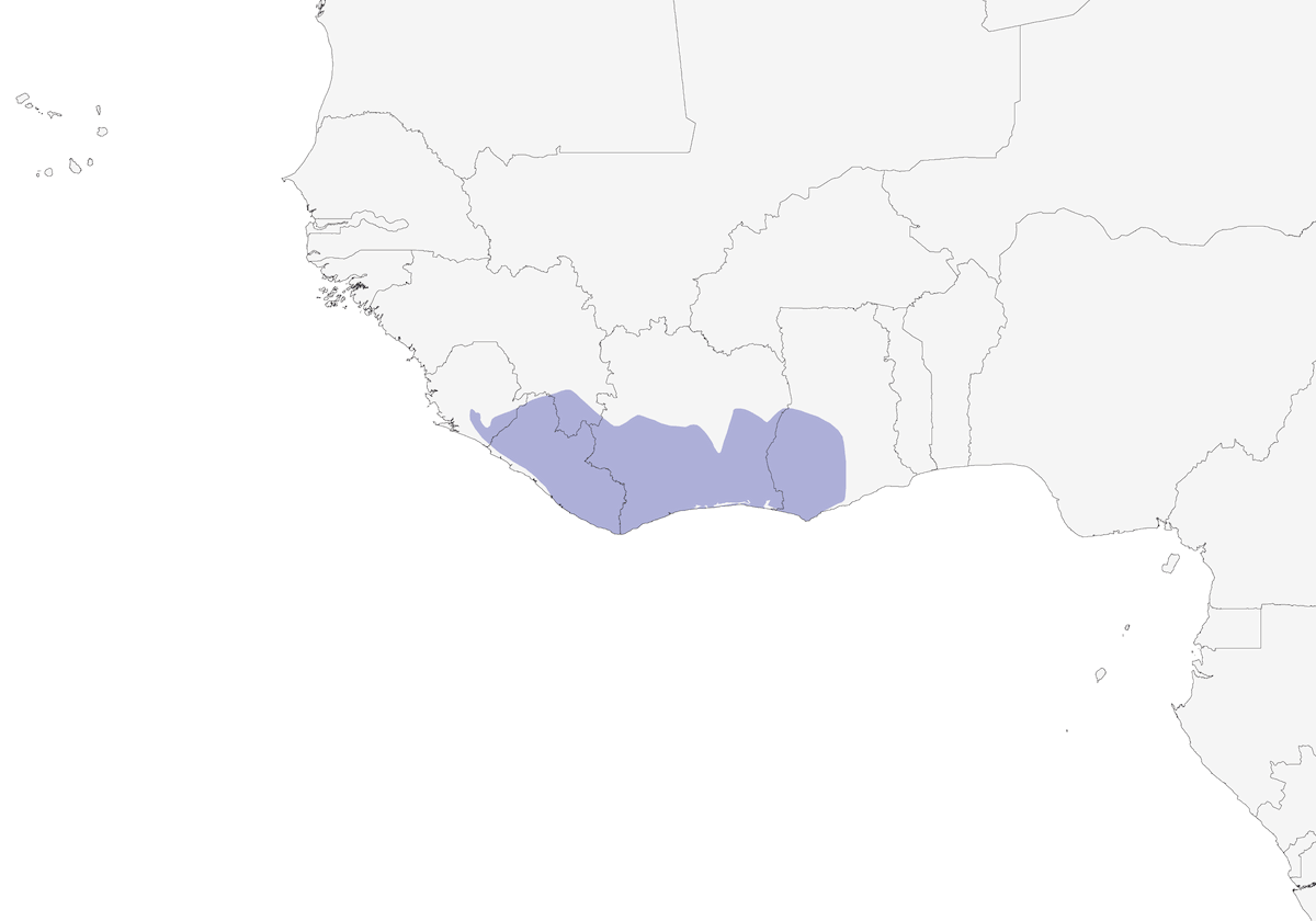 Lalage du Ghana, Distribution 1
