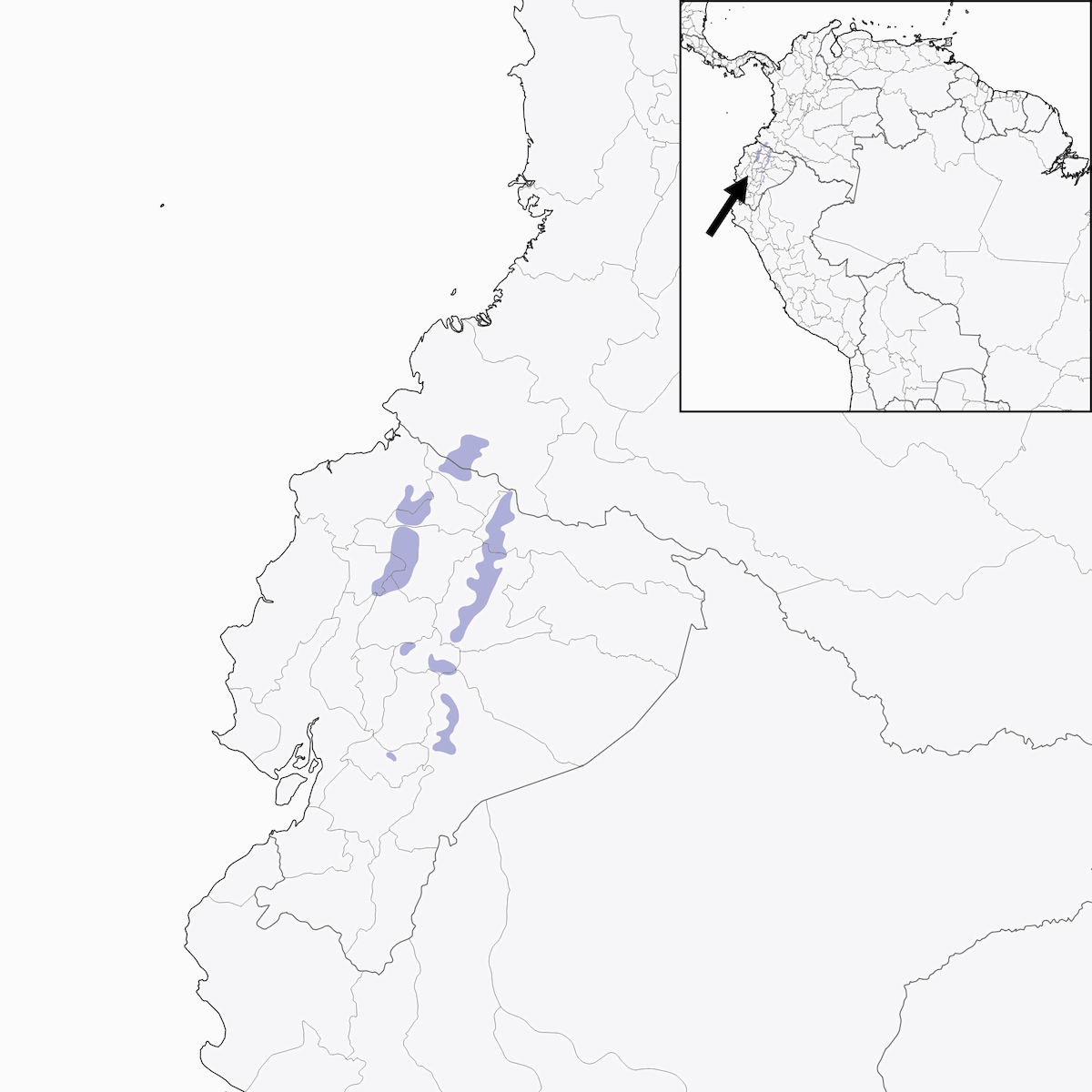 Giant Antpitta, Distribution 1