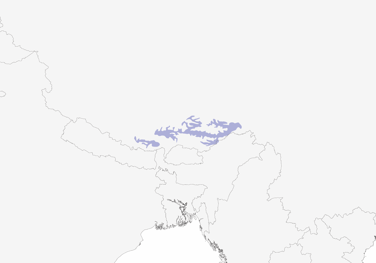 Garrulaxe de Koslov, Distribution 1