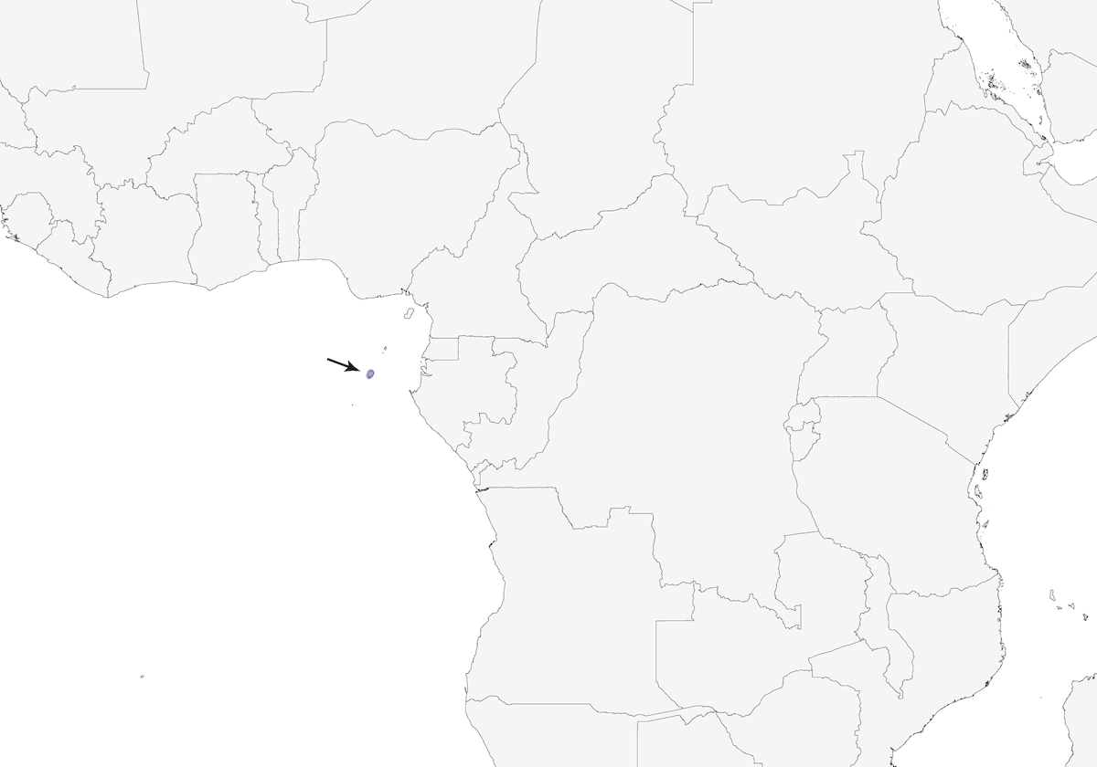Tessitore gigante, Distribuzione 1