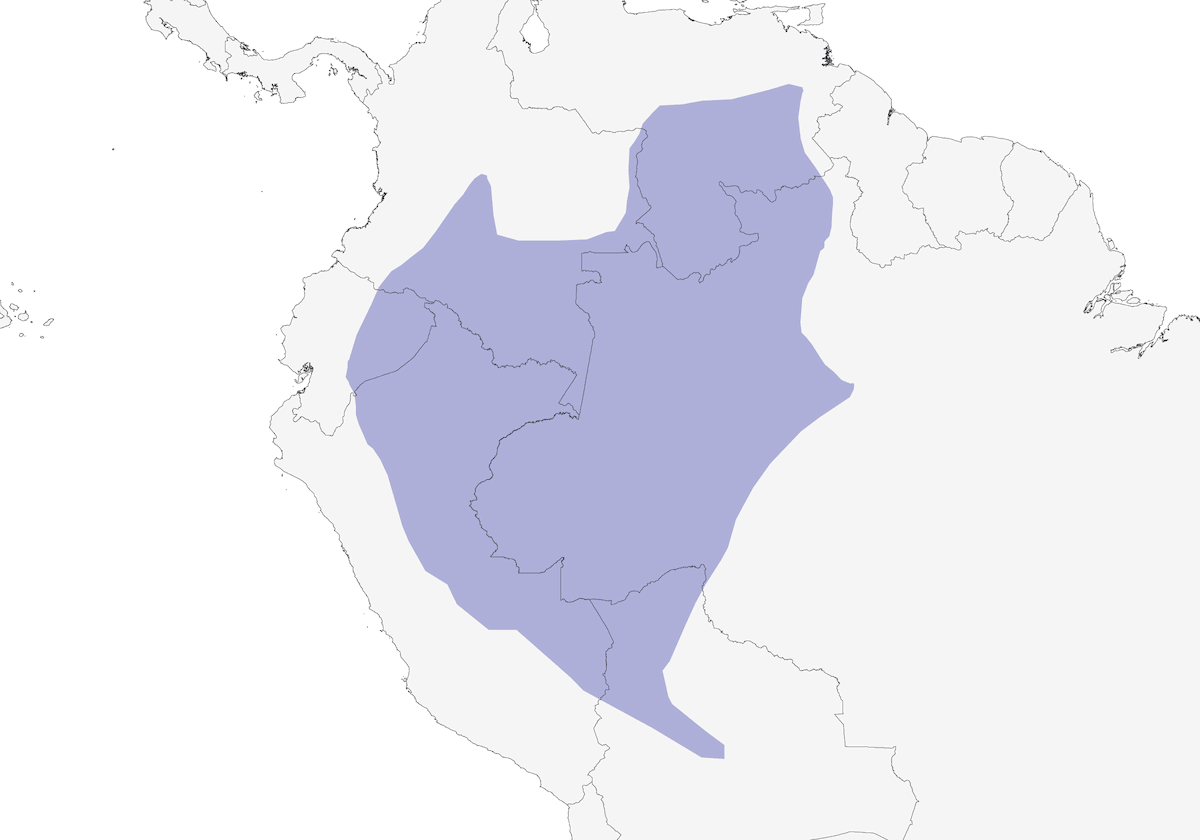 Cabézon doré, Distribution 1