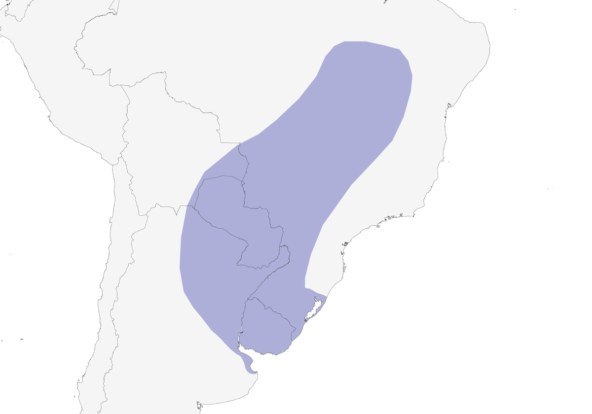 Giant Wood-Rail, Distribution 1