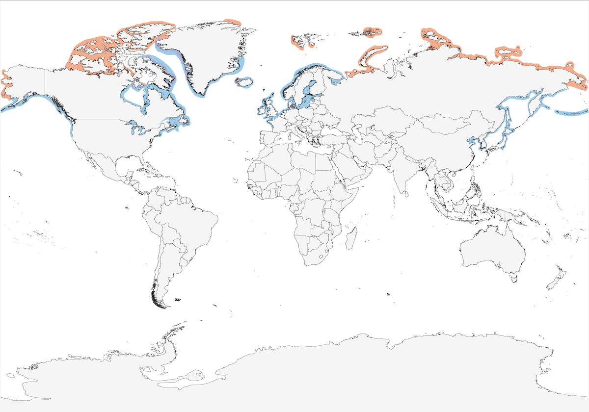 Gabbiano glauco, Distribuzione 1