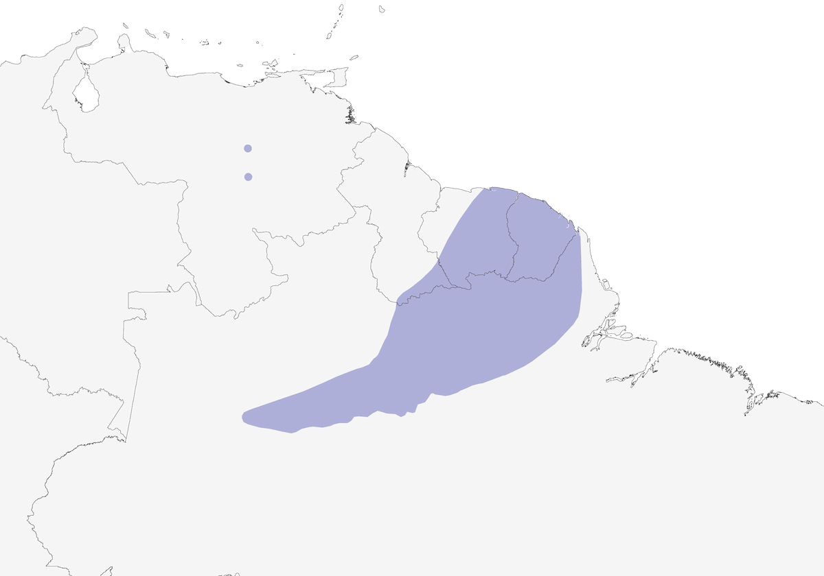 Bécarde à dos brillant, Distribution 1