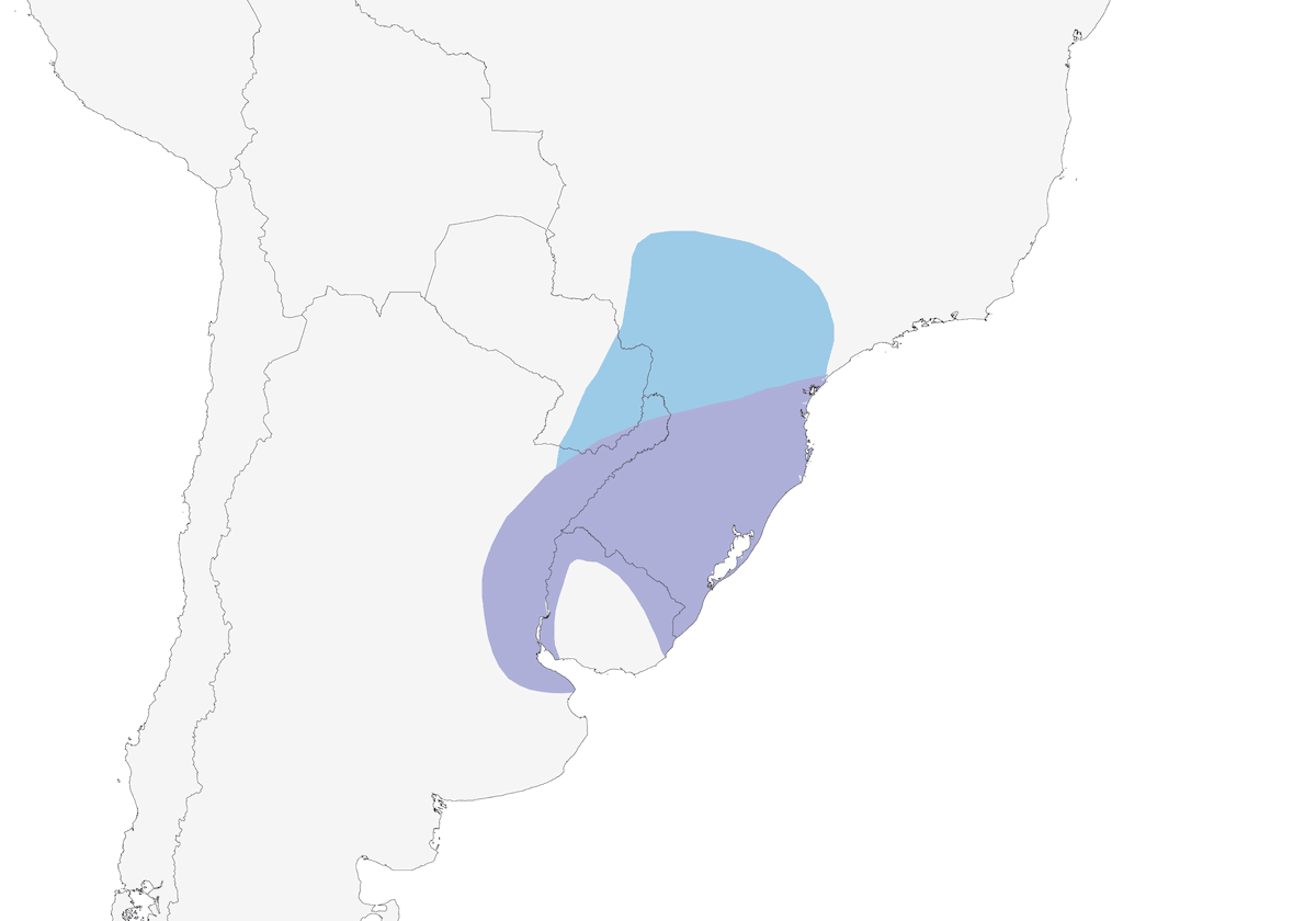 Glaucous-blue Grosbeak, Distribution 1