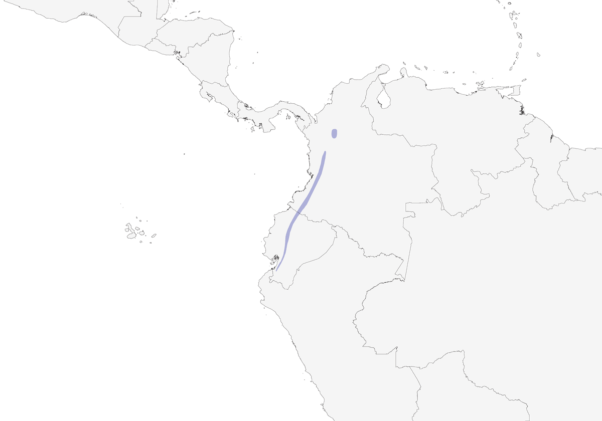 Tangara Verde Lustrosa, Distribución 1