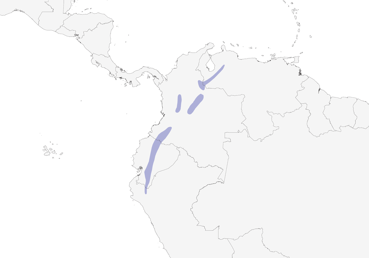 Pinchaflor Brillante, Distribución 1