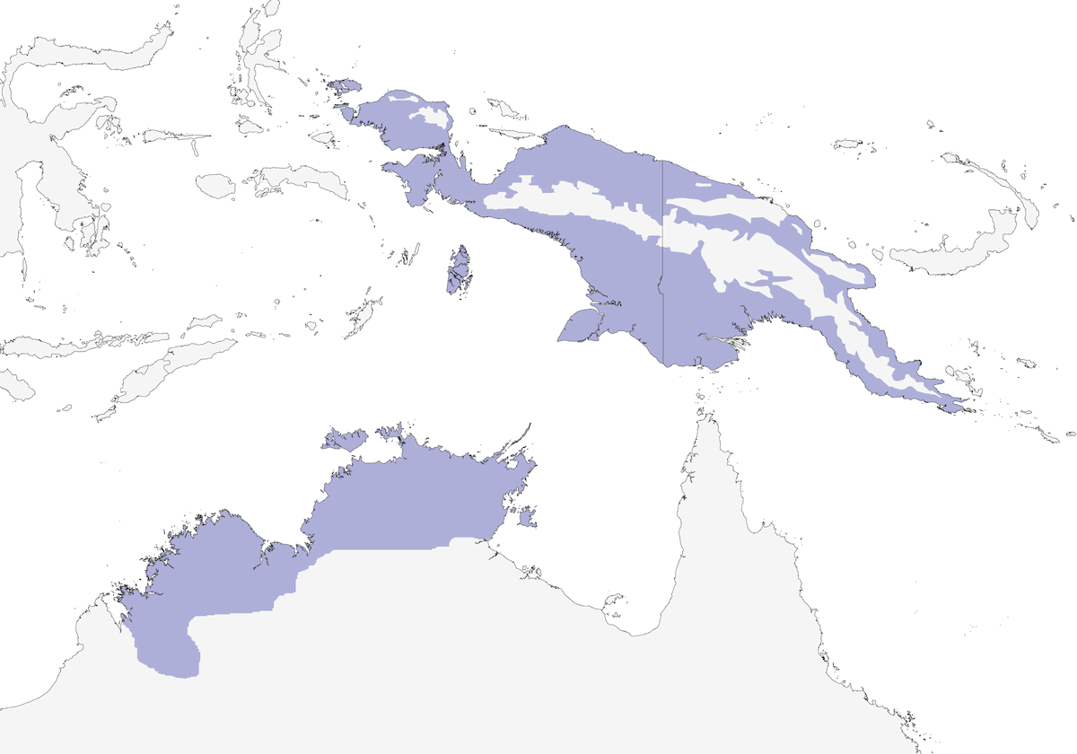 Gerigone dorsosmeraldo, Distribuzione 1