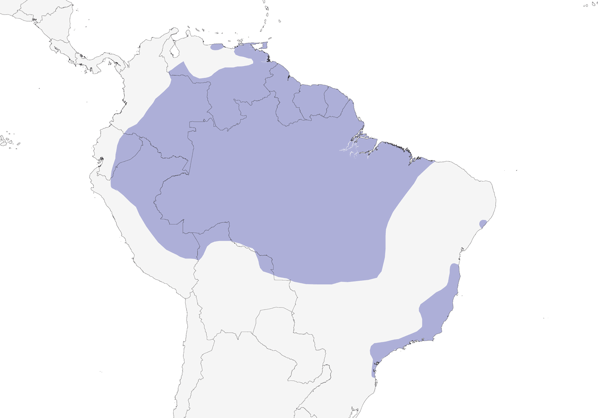 Green-backed Trogon, Distribution 1