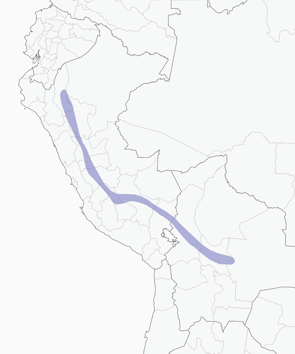 Golden-browed Chat-Tyrant, Distribution 1