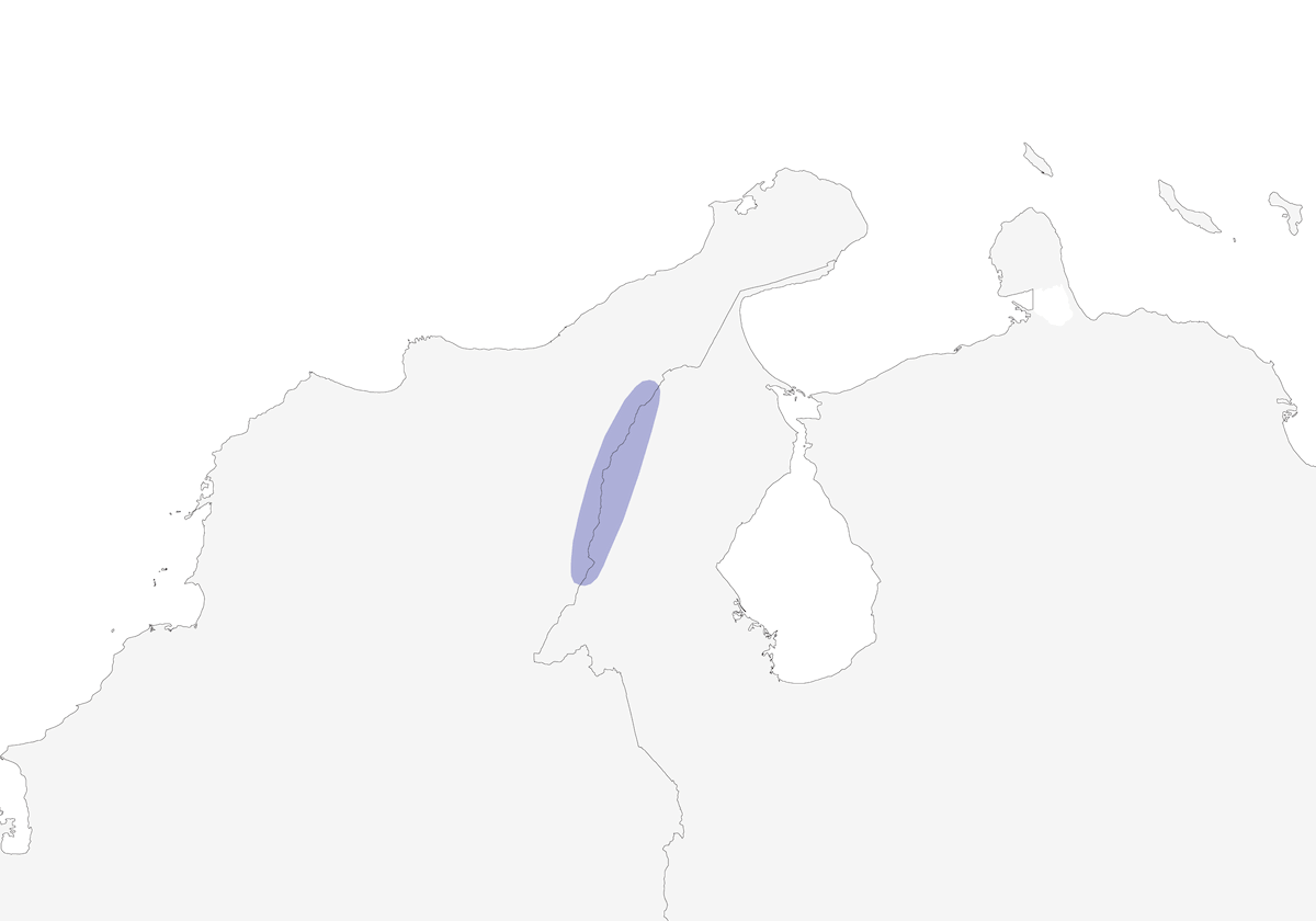 Stellina di Perijá, Distribuzione 1