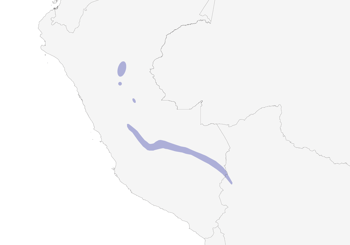 Cuzco Warbler, Distribution 1