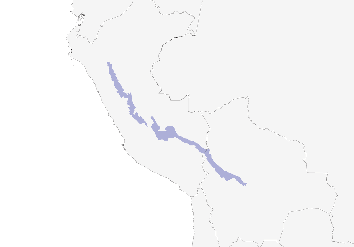 Golden-collared Tanager, Distribution 1
