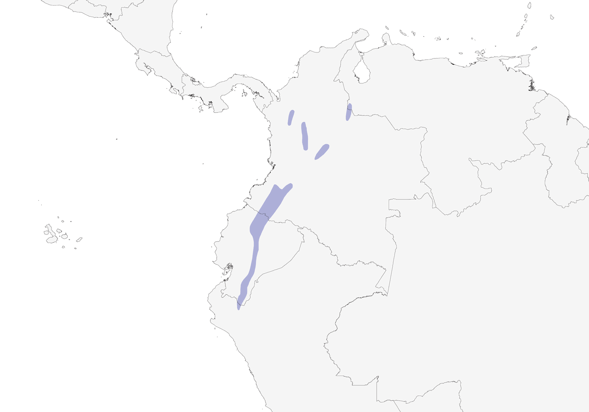 Tangara de corona dorada, Distribución 1
