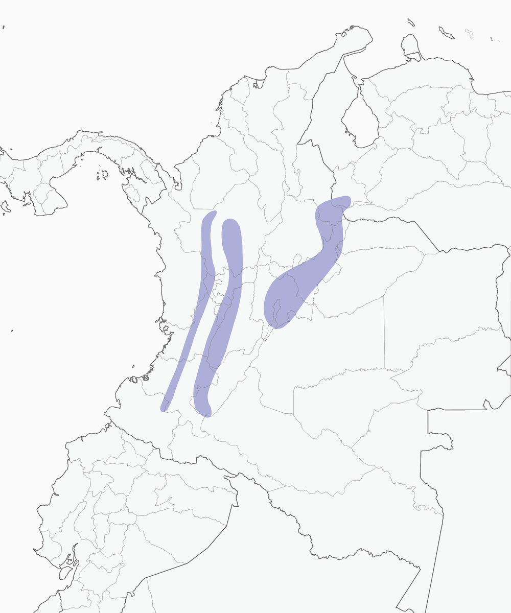 Paruline dorée, Distribution 1