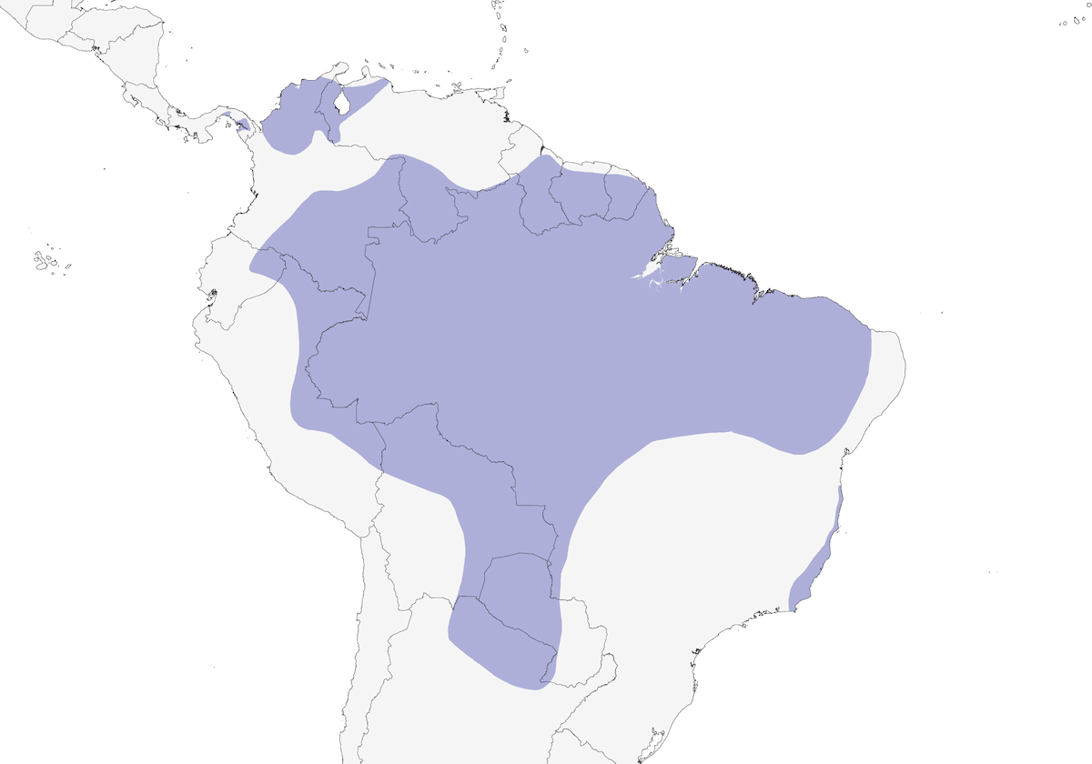 Carpintero verdidorado, Distribución 1