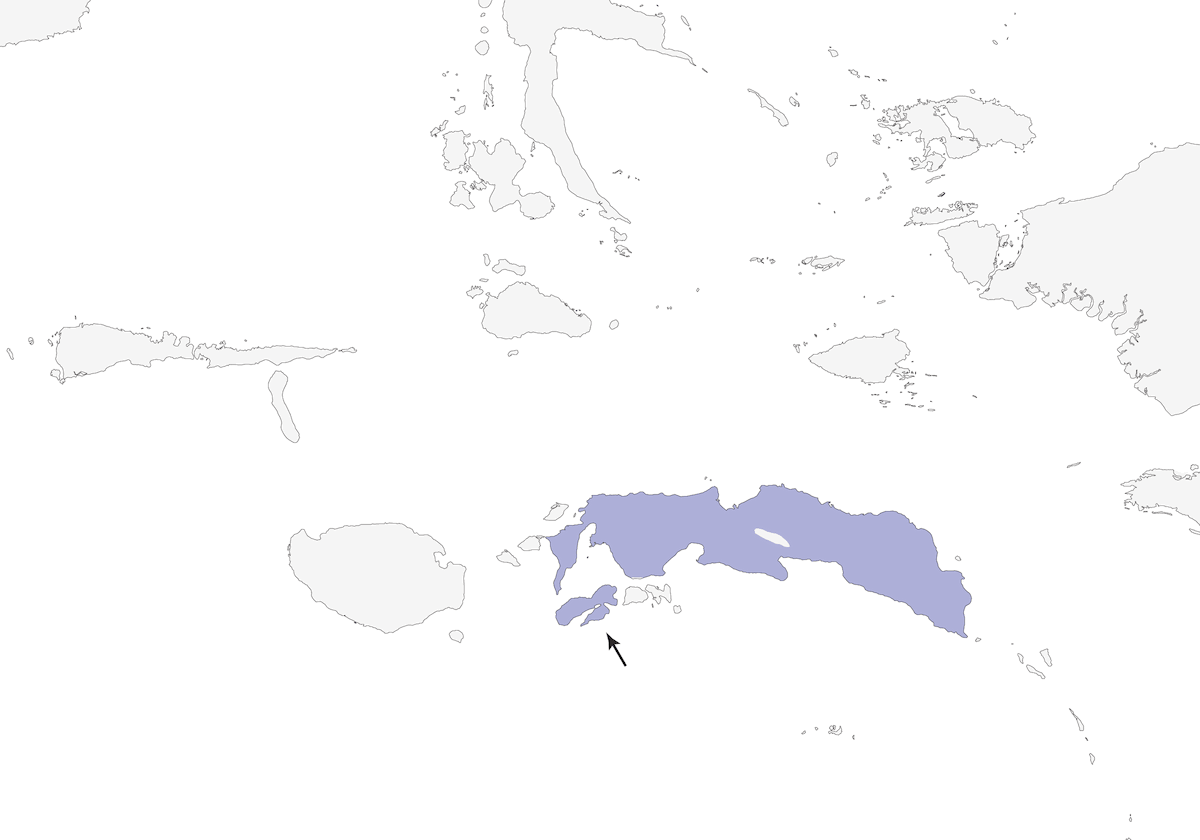 Bulbul Dorado de Seram, Distribución 1