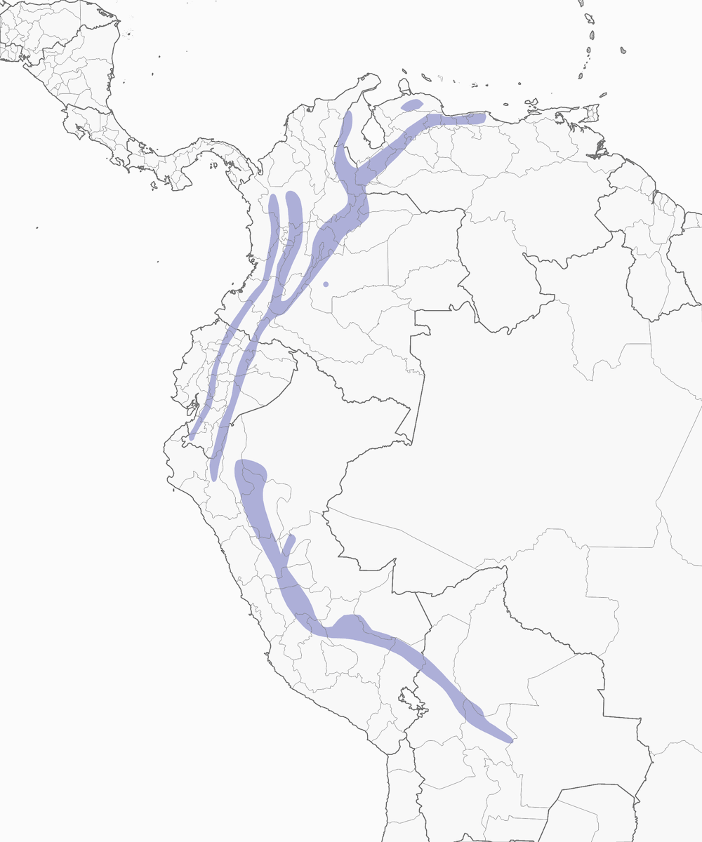 Tangara dorato, Distribuzione 1
