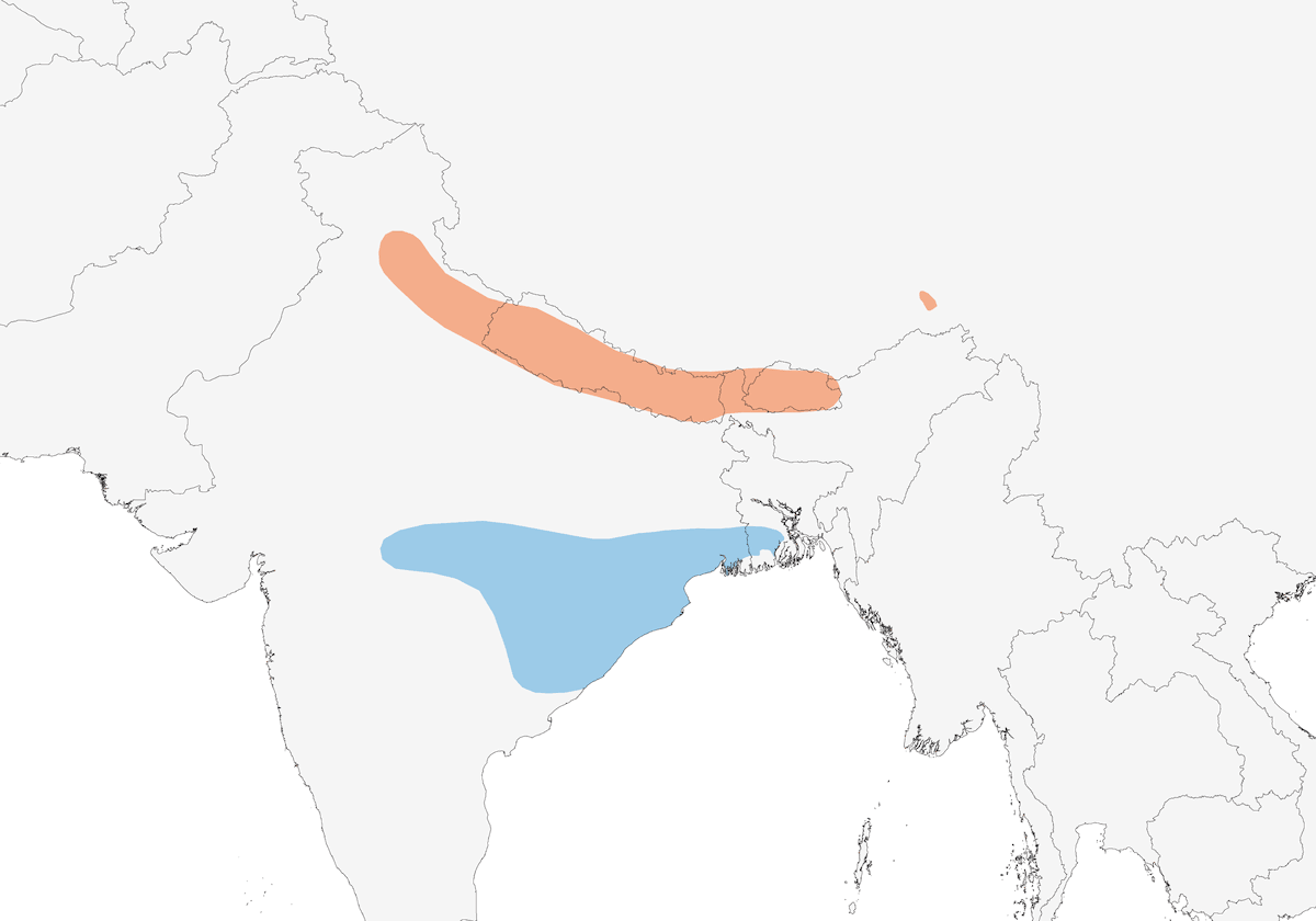 Green-crowned Warbler, Distribution 1