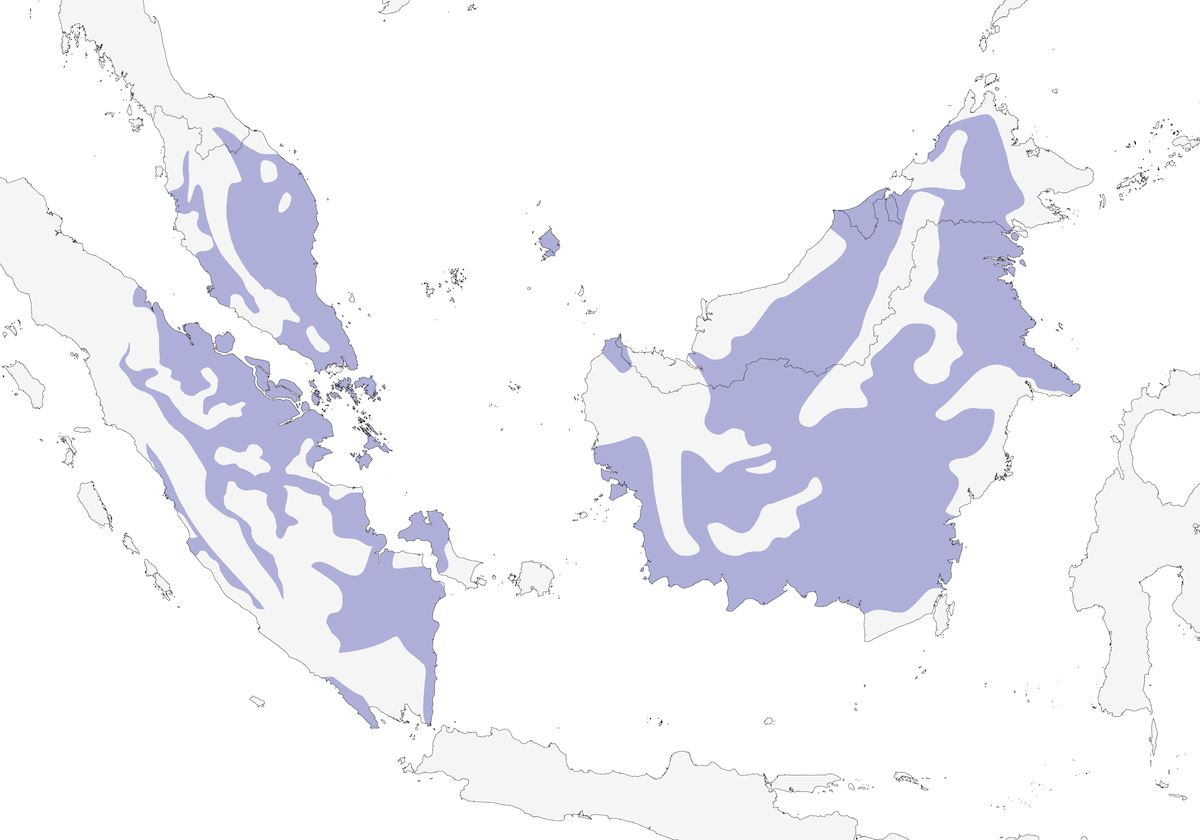Gould's Frogmouth, Distribution 1