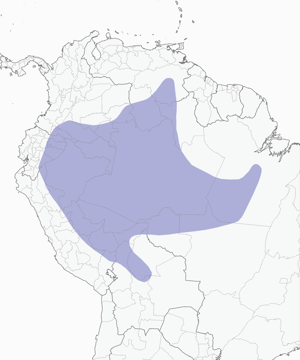 Frontalino di Gould, Distribuzione 1