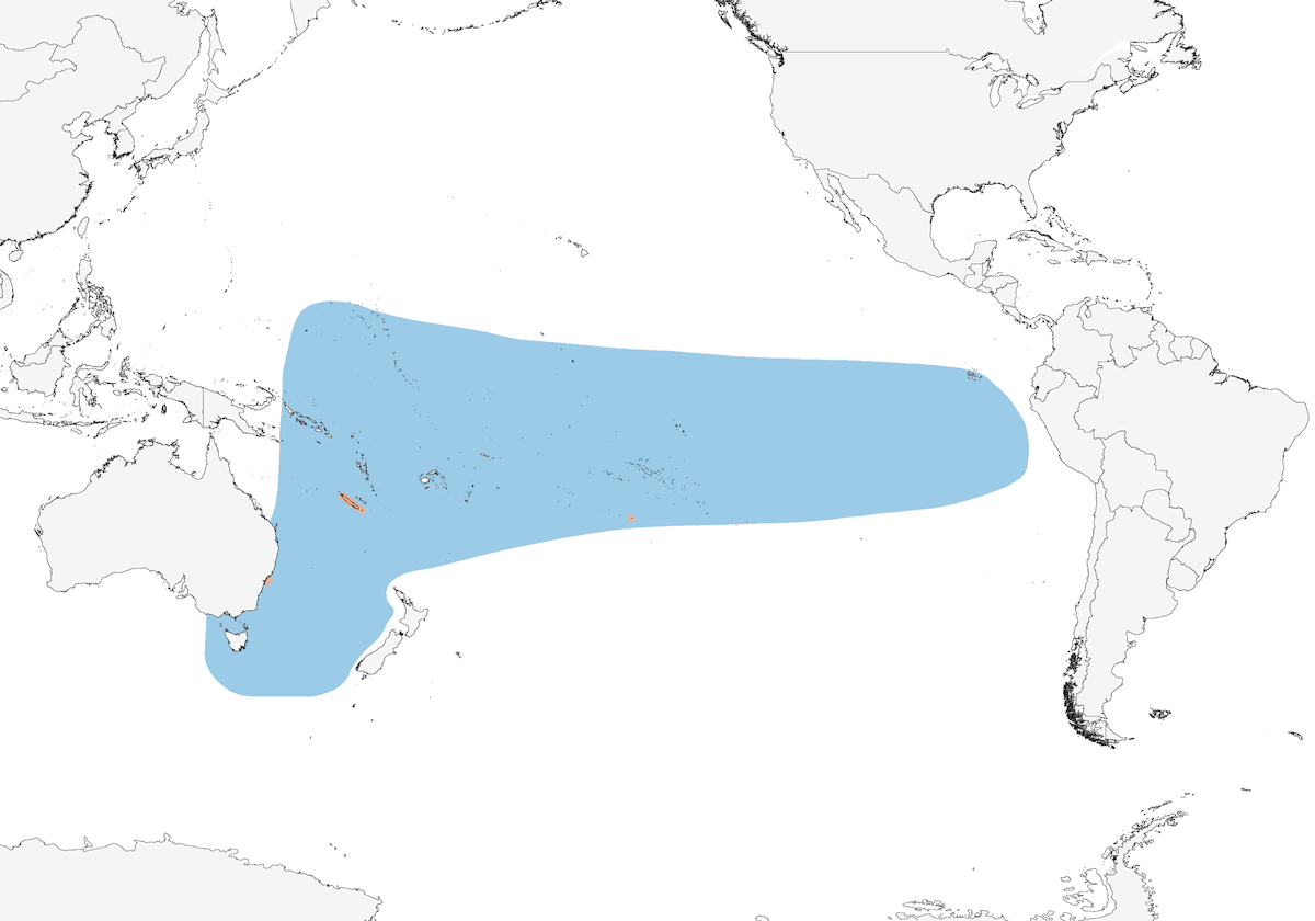 Pétrel de Gould, Distribution 1