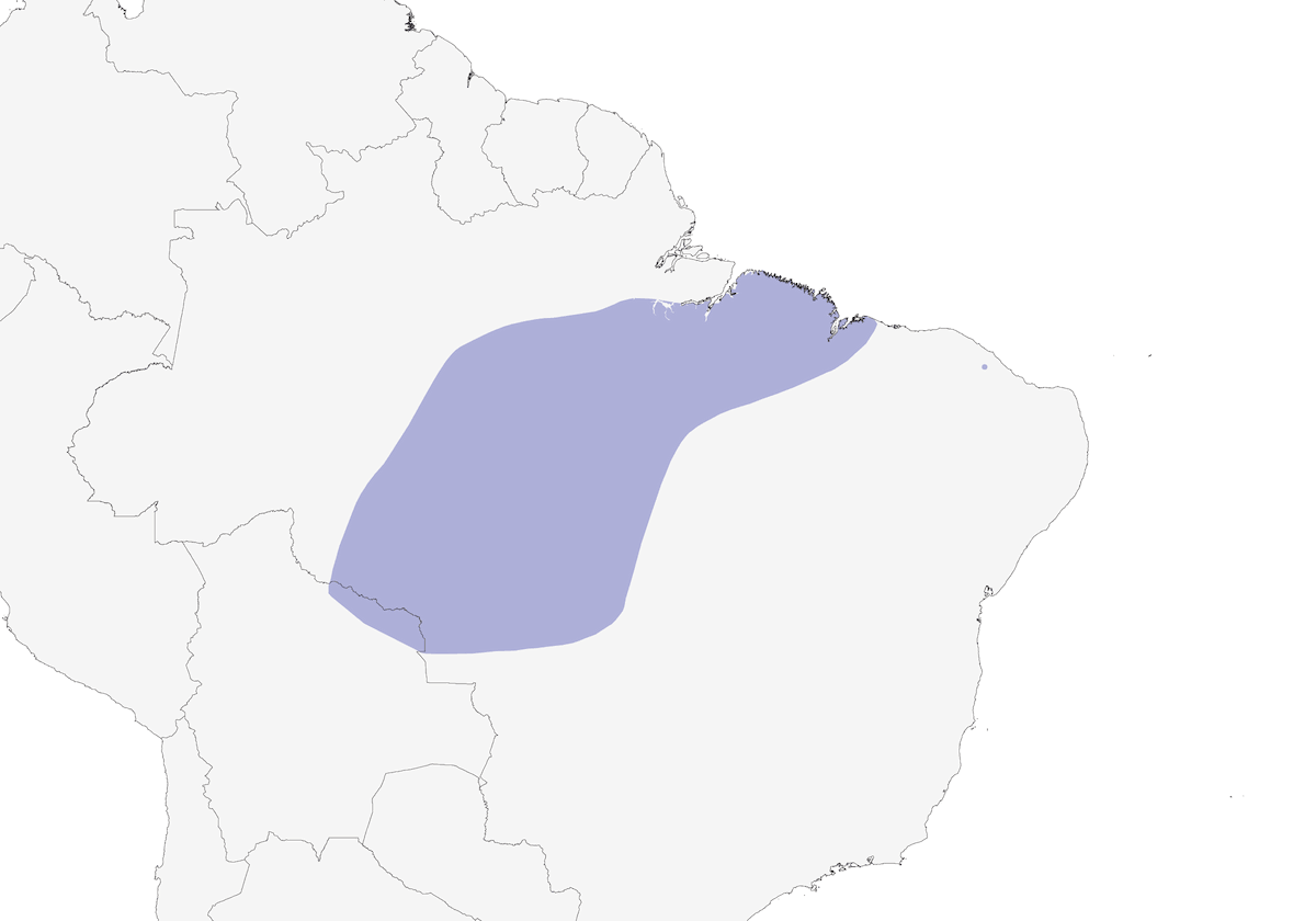 Tucanetto di Gould, Distribuzione 1